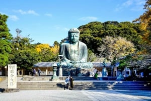 Tokyo : Kamakura visite privée et personnalisée avec guide local