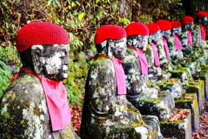 Tokyo : Kamakura visite privée et personnalisée avec guide local