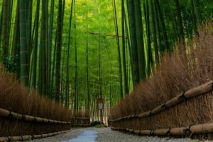 Tokyo : Kamakura visite privée et personnalisée avec guide local