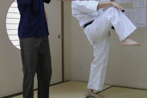 Tokyo: Karate-oplevelse med tidligere All-Japan-mester