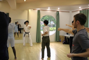 Tokyo: Karate-oplevelse med tidligere All-Japan-mester