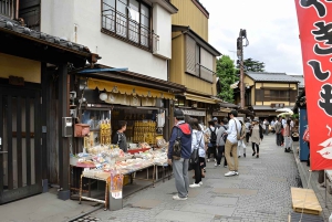 Tokyo: escursione privata di un giorno a Kawagoe con guida autorizzata nazionale