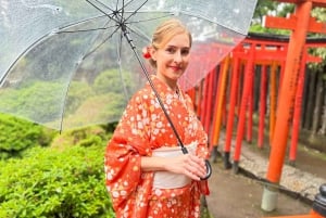 Tokyo: Kimono Dressing, Walking, and Photography Session