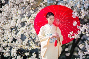 Tokyo: noleggio kimono nel Giardino nazionale di Shinjuku Gyoen