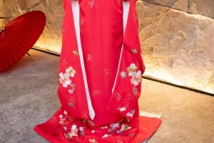 Tokio: Kimono fotoshoot in Ginza
