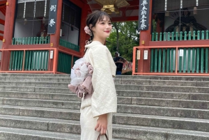 Tokio : Alquiler de Kimonos en Asakusa Proporcionado por KanoWafuku