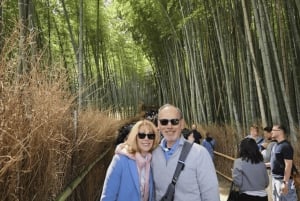 Tokio: Päiväretki Kiotoon luotijunalla lisensoidun oppaan kanssa