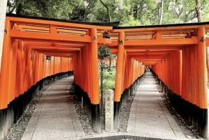 Tokio: Päiväretki Kiotoon luotijunalla lisensoidun oppaan kanssa
