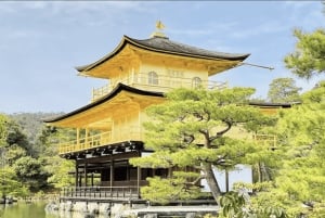 Tokio: Päiväretki Kiotoon luotijunalla lisensoidun oppaan kanssa