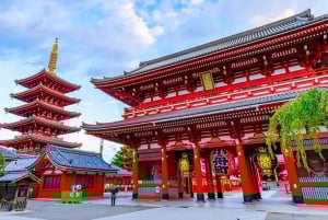 Visite privée de 5 heures en cas d'escale à Tokyo