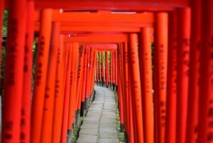 Visite privée de 5 heures en cas d'escale à Tokyo