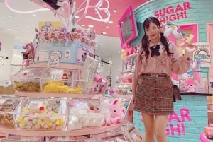 Visite privée de 5 heures en cas d'escale à Tokyo