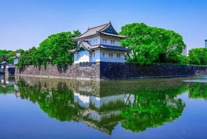 Visite privée de 5 heures en cas d'escale à Tokyo