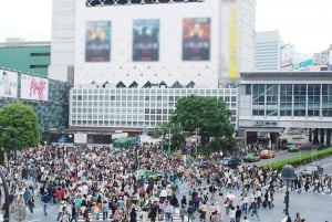 Visite privée de 5 heures en cas d'escale à Tokyo