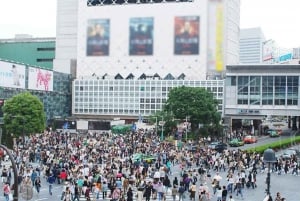Visite privée de 5 heures en cas d'escale à Tokyo