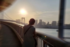 Visite privée de 5 heures en cas d'escale à Tokyo
