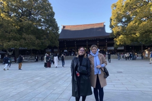 Visite privée de 5 heures en cas d'escale à Tokyo