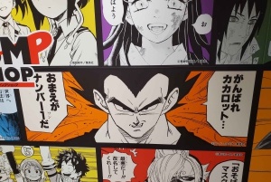 東京乗り継ぎ5時間プライベートツアー