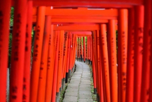 東京乗り継ぎ5時間プライベートツアー