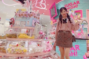 東京乗り継ぎ5時間プライベートツアー