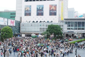 東京乗り継ぎ5時間プライベートツアー