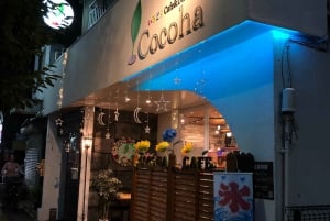 Tokyo: Master the Art of Traditional Origami with a Local