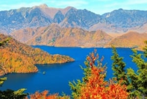 Tokyo: Luxury Nikko Private 1 Day Tour Low Price Guaranteed