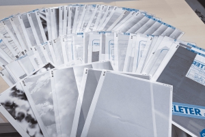 Tokio: Taller de Dibujo Manga Guiado por Artista Manga Profesional