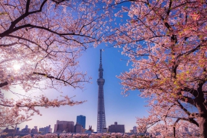 Tokyo: Matcha-tillverkning med mochi-godis i Asakusa