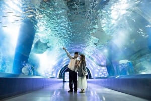 Токио: прямой входной билет в аквапарк Maxell Aqua Park Shinagawa