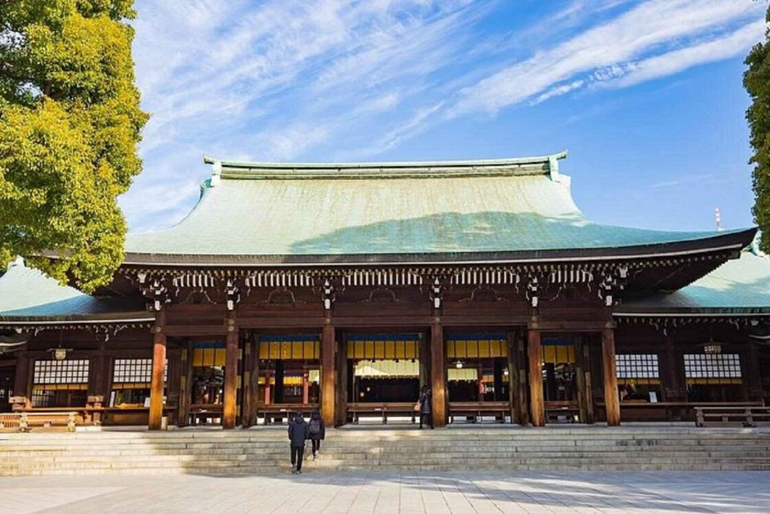 Tokyo: tour guidato al Meiji Jingu e al Kanda Myōjin