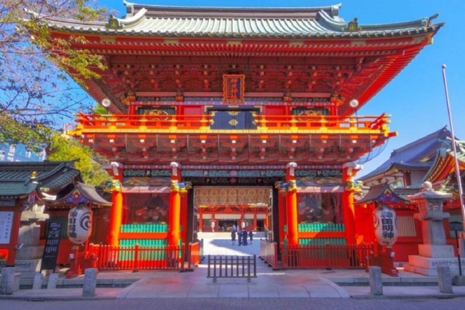 Tokyo: tour guidato al Meiji Jingu e al Kanda Myōjin