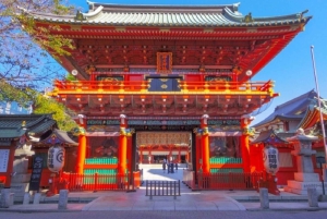 Tokyo: tour guidato al Meiji Jingu e al Kanda Myōjin