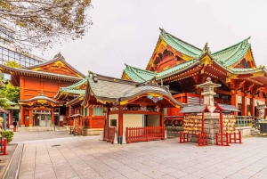 Tokyo: tour guidato al Meiji Jingu e al Kanda Myōjin