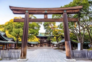 Tokyo: tour guidato al Meiji Jingu e al Kanda Myōjin