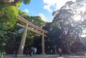 Tokio: Wycieczka piesza po świątyni Meiji Jingu i kultura shinto