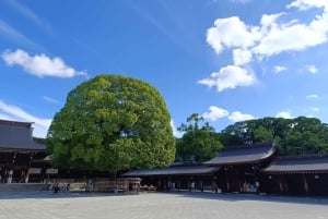 Tokio: Wycieczka piesza po świątyni Meiji Jingu i kultura shinto
