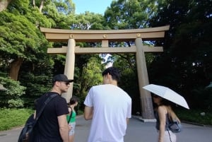 Tokio: Wycieczka piesza po świątyni Meiji Jingu i kultura shinto