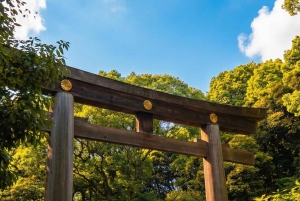 Tokyo: Meiji Jingu-helgedomen, skogen och den kejserliga trädgården