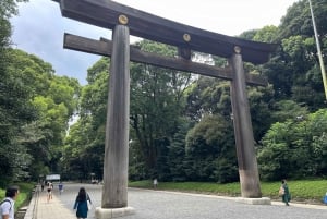 Tokyo: Early Morning Tour with English-Speaking Guide