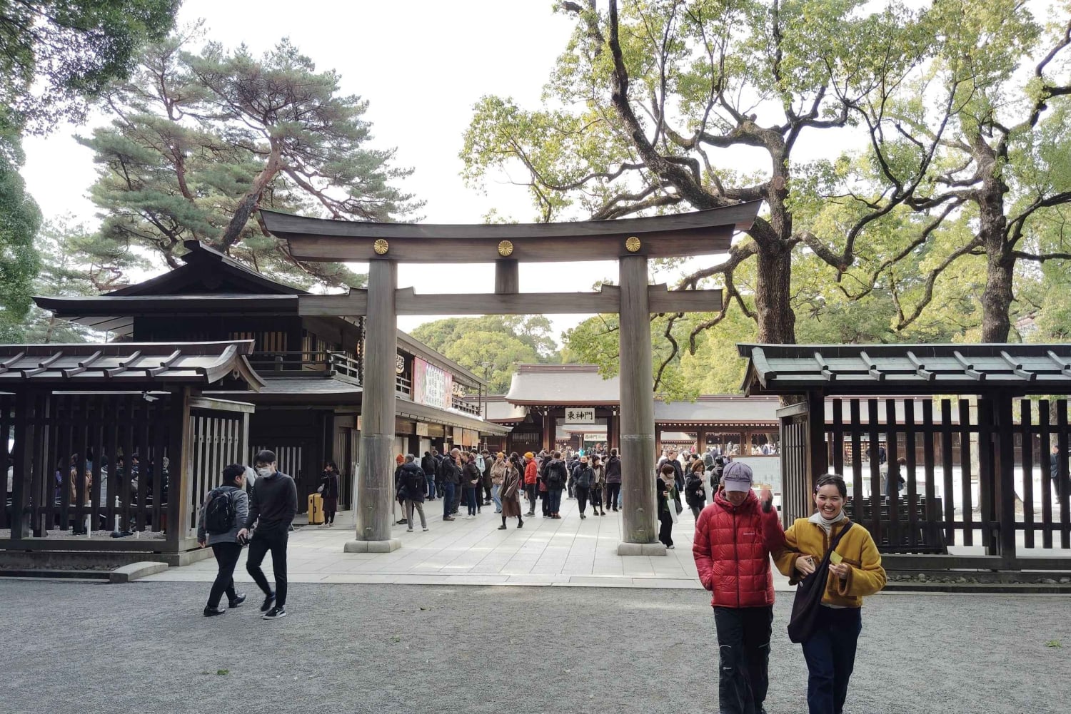 Tokyo: Meiji Jingu Shrine & Inner Garden Guided Tour (2h)