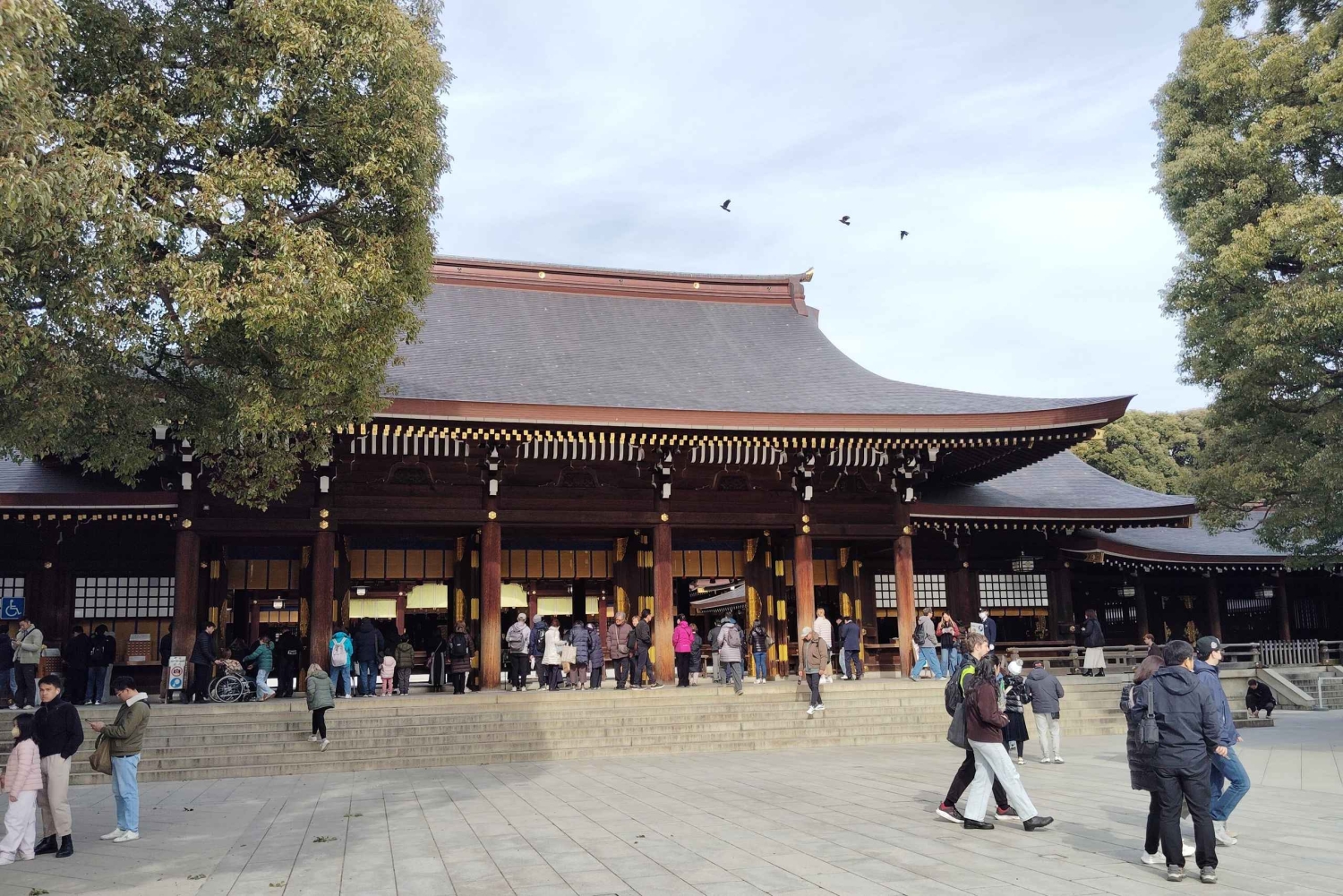 Tokyo : visite guidée du sanctuaire Meiji Jingu et du jardin intérieur (2 h)