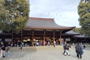 Tokyo: Meiji Jingu Shrine & Inner Garden Guided Tour (2h)