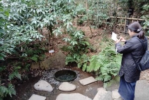 Tokyo: Meiji Jingu Shrine & Inner Garden Guided Tour (2h)