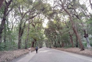 Tokyo: Meiji Jingu Shrine & Inner Garden Guided Tour (2h)