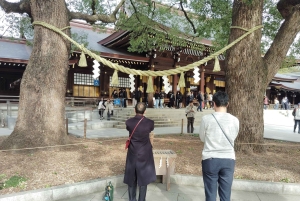 Tokyo : visite guidée du sanctuaire Meiji Jingu et du jardin intérieur (2 h)