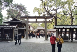 Tokyo: tour guidato del Santuario Meiji Jingu e del giardino interno (2 ore)