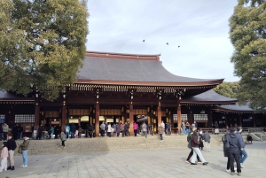 Tokyo: tour guidato del Santuario Meiji Jingu e del giardino interno (2 ore)
