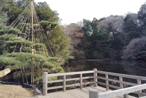 Tokyo: tour guidato del Santuario Meiji Jingu e del giardino interno (2 ore)