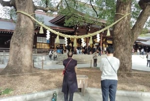 Tokyo: tour guidato del Santuario Meiji Jingu e del giardino interno (2 ore)